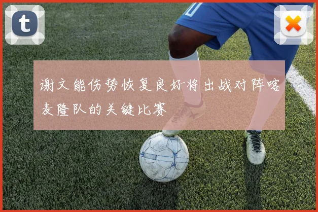 谢文能伤势恢复良好将出战对阵喀麦隆队的关键比赛