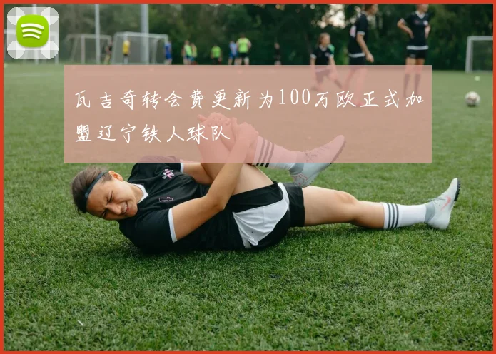 瓦吉奇转会费更新为100万欧正式加盟辽宁铁人球队