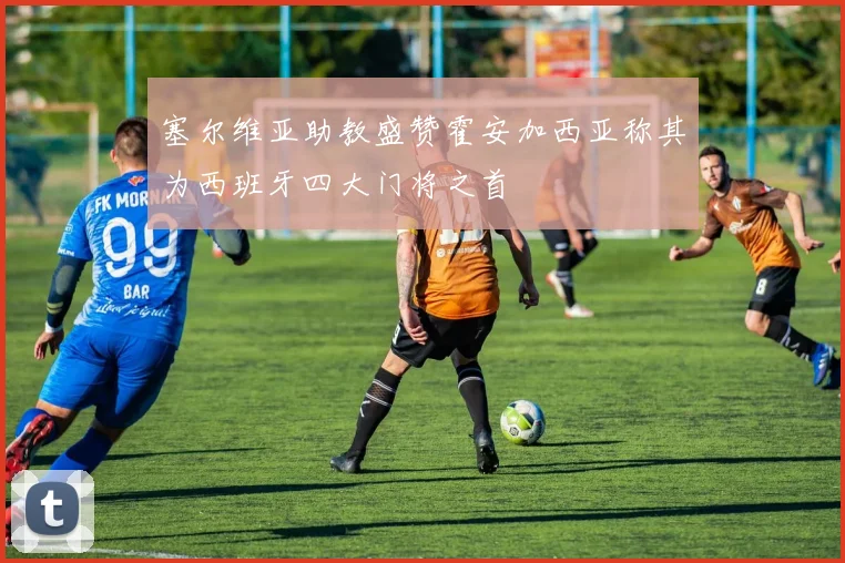 塞尔维亚助教盛赞霍安加西亚称其为西班牙四大门将之首