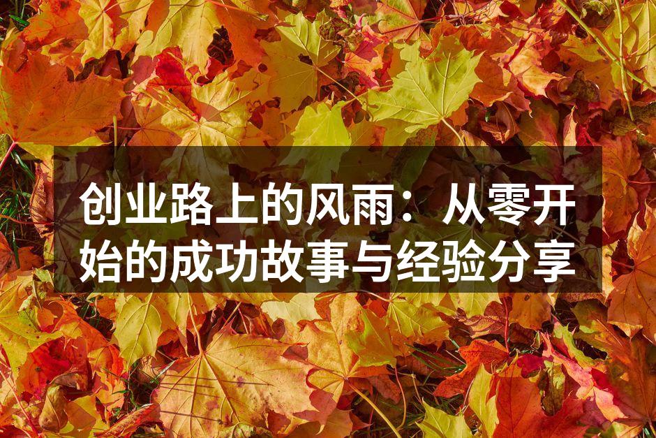 创业路上的风雨：从零开始的成功故事与经验分享
