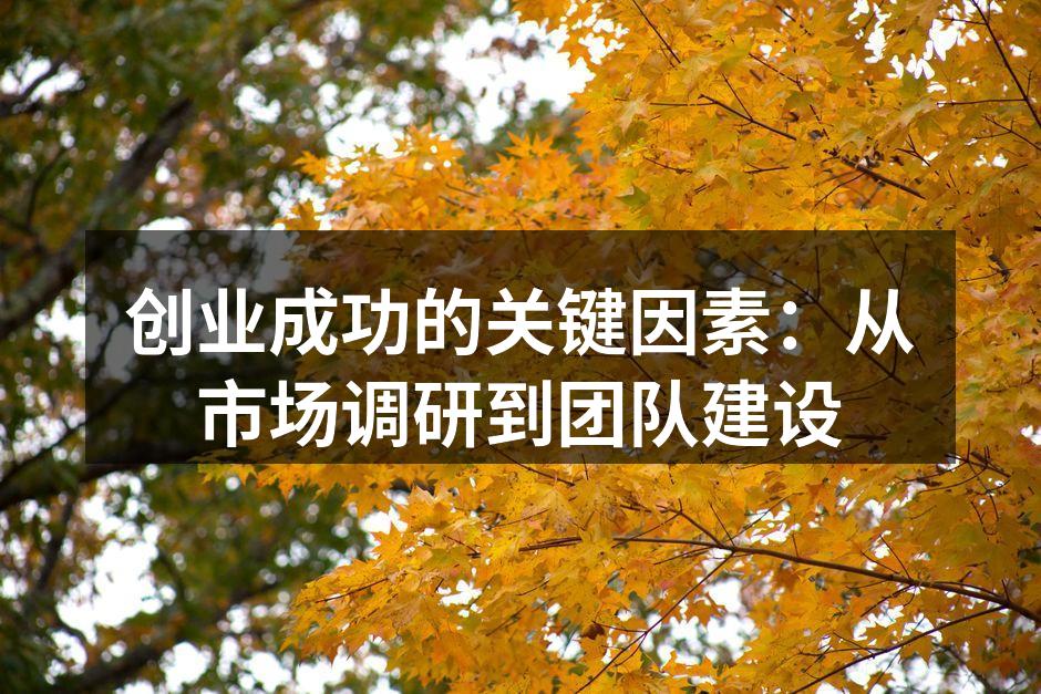 创业成功的关键因素：从市场调研到团队建设